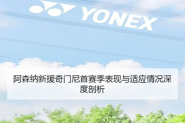 阿森纳新援奇门尼首赛季表现与适应情况深度剖析